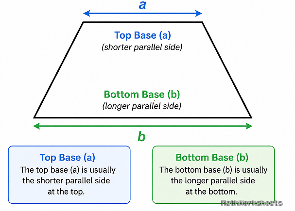 Base of a Trapezoid